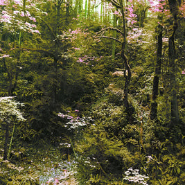 Invitation to a Mountainside