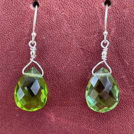 Drops of Goodness Earrings in Sterling Silver DOGERS