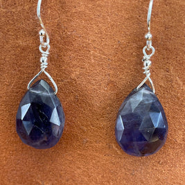 Drops of Goodness Earrings in Sterling Silver DOGERS