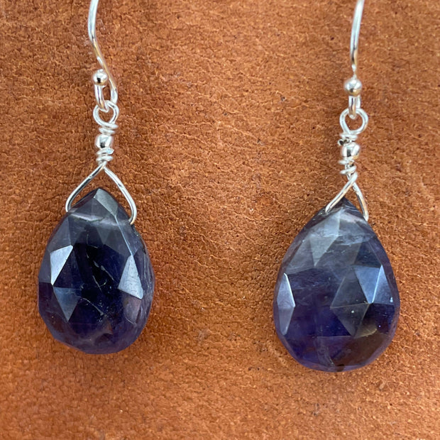 Drops of Goodness Earrings in Sterling Silver DOGERS