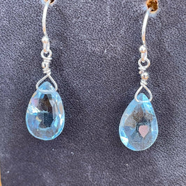 Drops of Goodness Earrings in Sterling Silver DOGERS