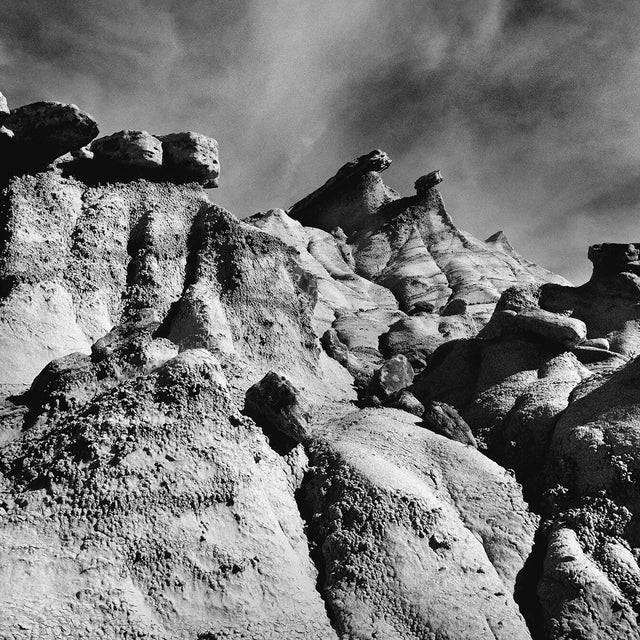 Bisti #285