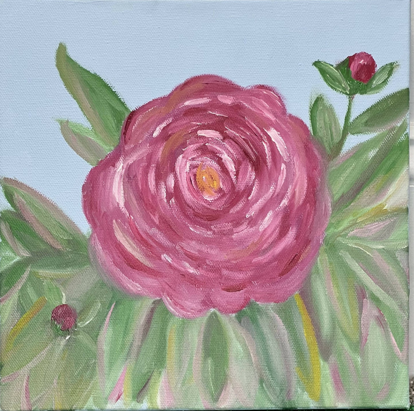 Peony