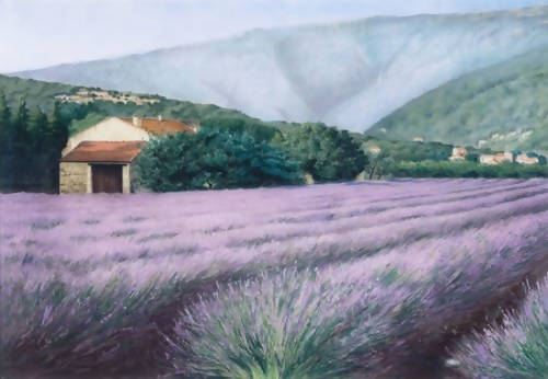 Provencal Lavender Field - framed giclee print