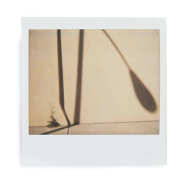 Plant wall shadow