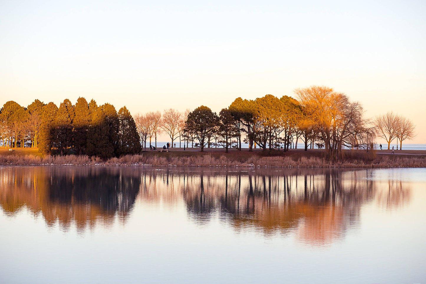 Northwestern Reflections