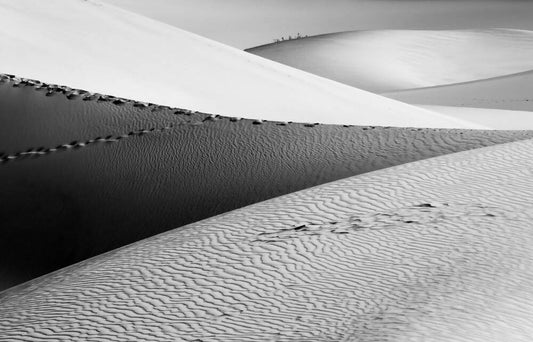 Dune #7 (Death Valley, CA.)