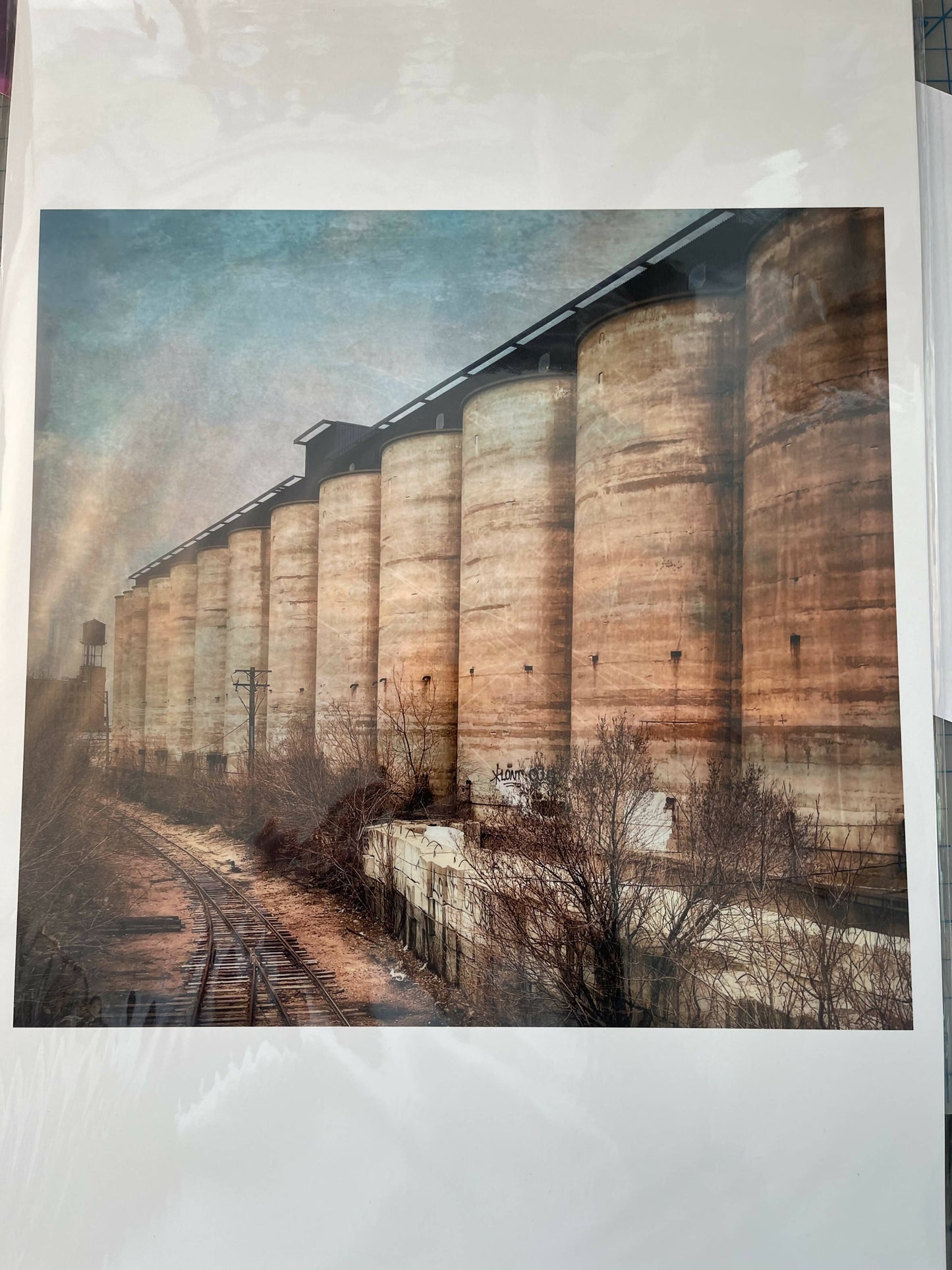 Archival pigment photographs (bin art)