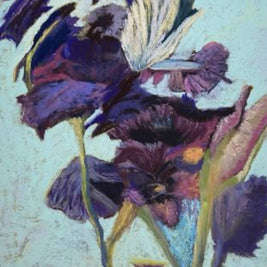 “In search of Iris Spirit I of III”