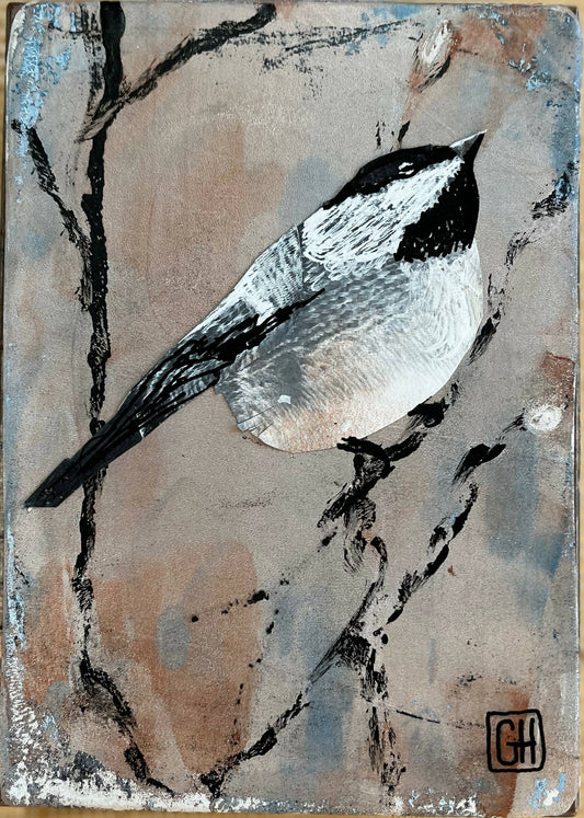 Black-capped Chickadee Collage