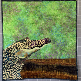 Alligator