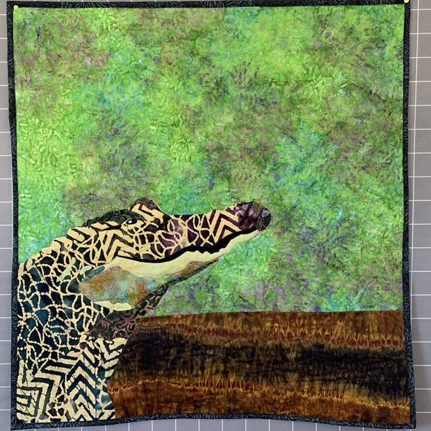 Alligator