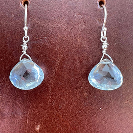 Drops of Goodness Earrings in Sterling Silver DOGERS