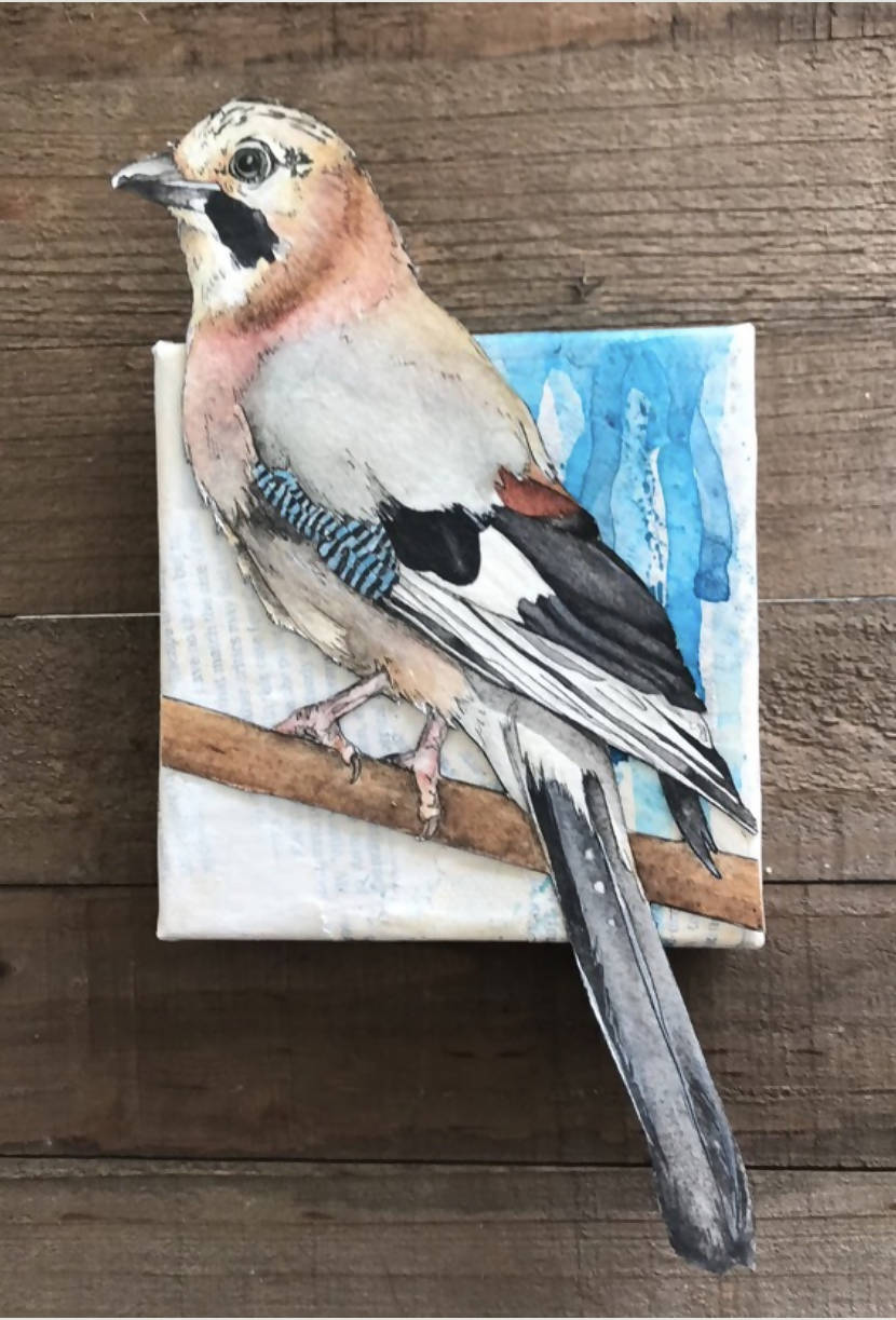 Eurasian Jay Watercolor Painting