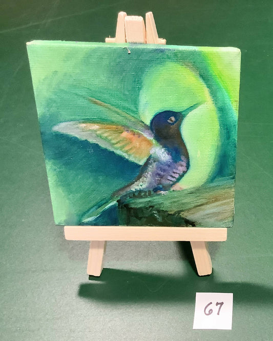 Hummingbird 67