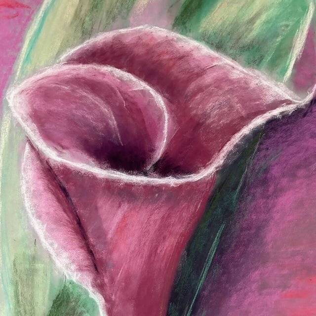 Calla lily