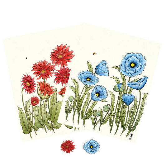 Poppies and Daisies Series 4-pack