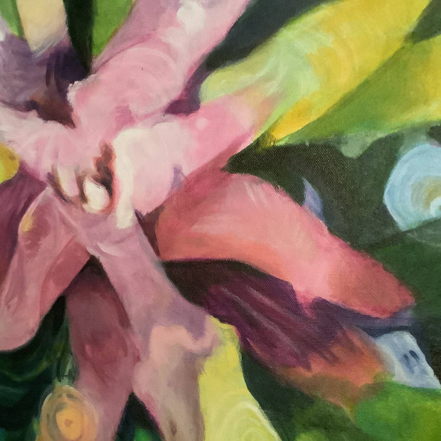"Phil's Bromeliads"