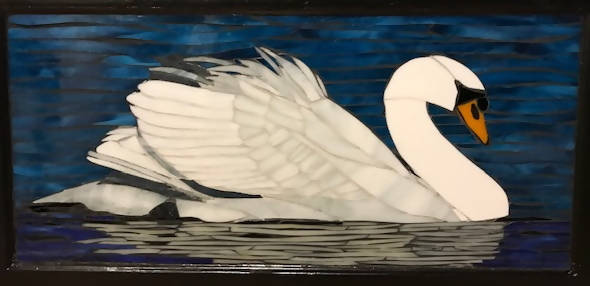 Swan