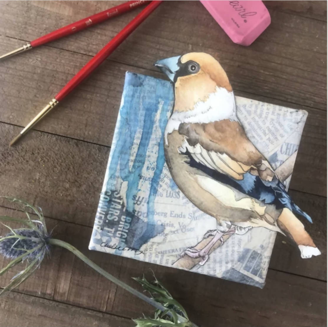Hawfinch Painting