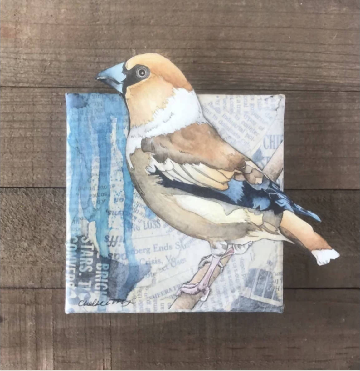 Hawfinch Painting
