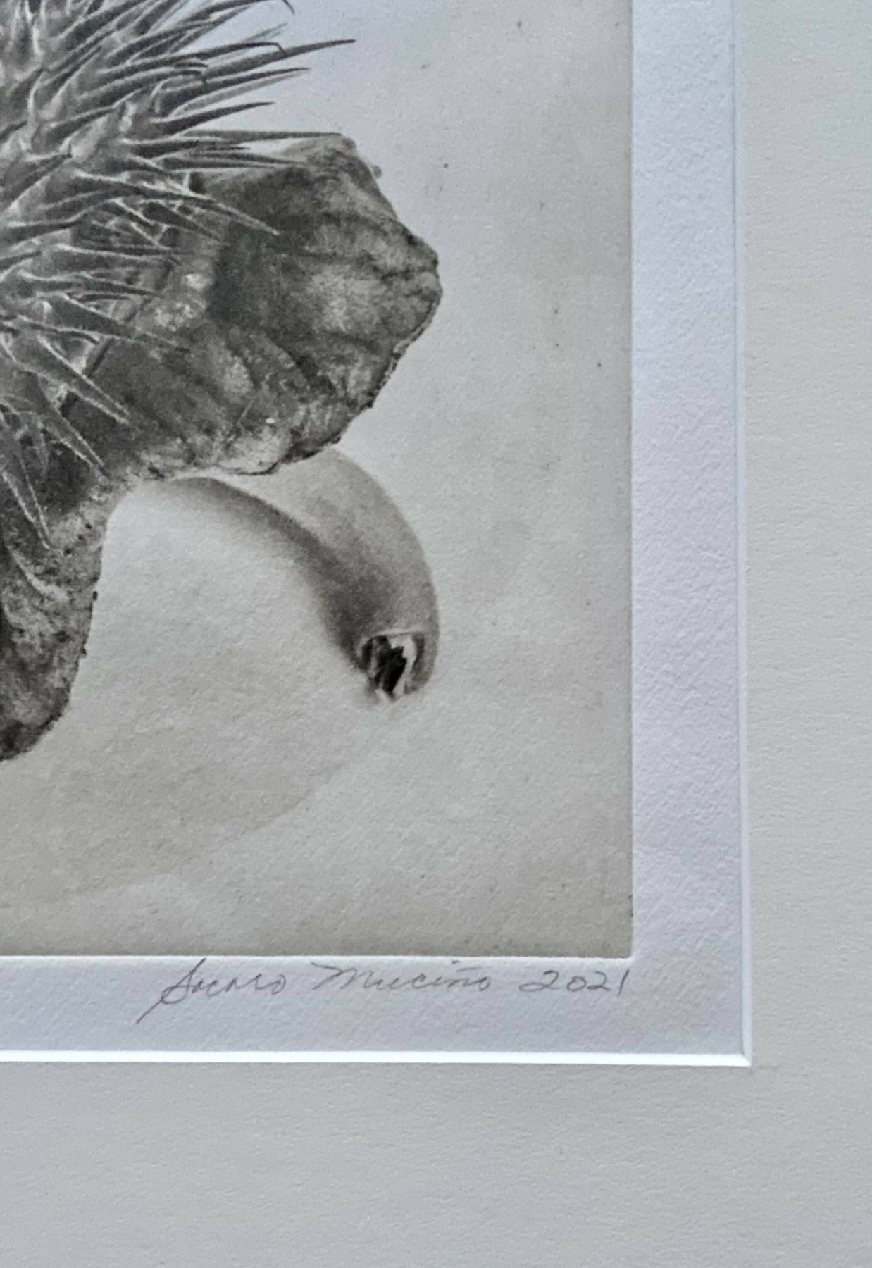 Framed “Jimson Weed I” Photogravure Print.