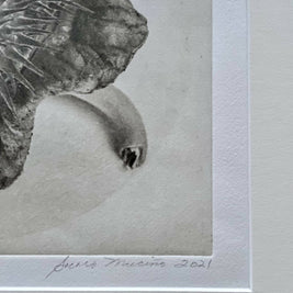 Framed “Jimson Weed I” Photogravure Print.
