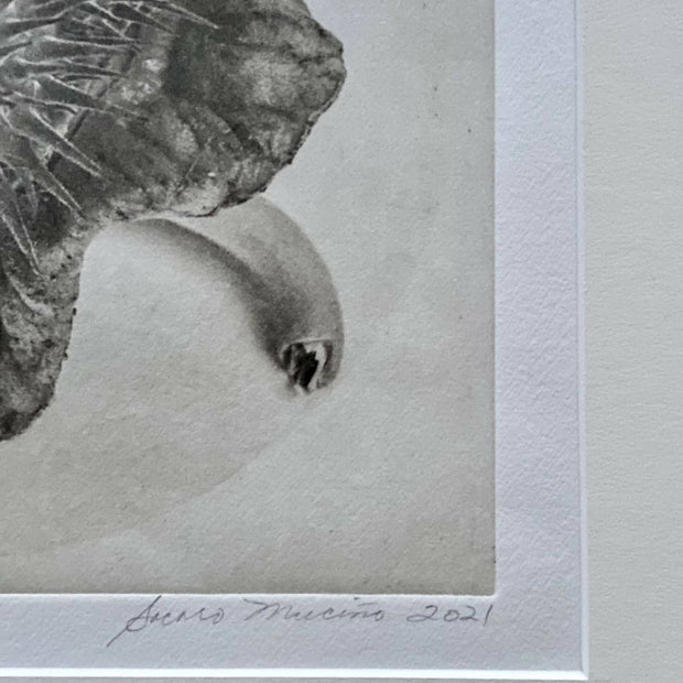 Framed “Jimson Weed I” Photogravure Print.