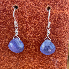 Drops of Goodness Earrings in Sterling Silver DOGERS