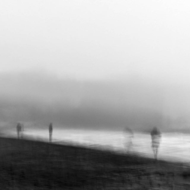 In the Fog