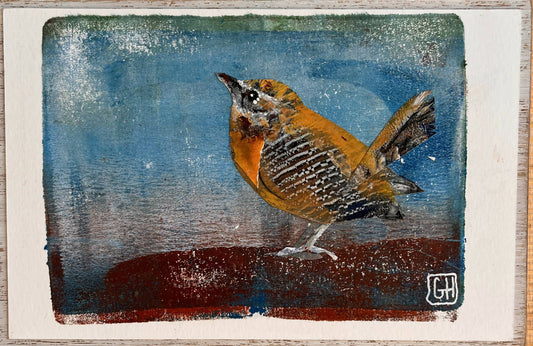 Carolina Wren Collage