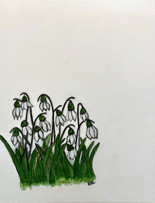 Snowdrops