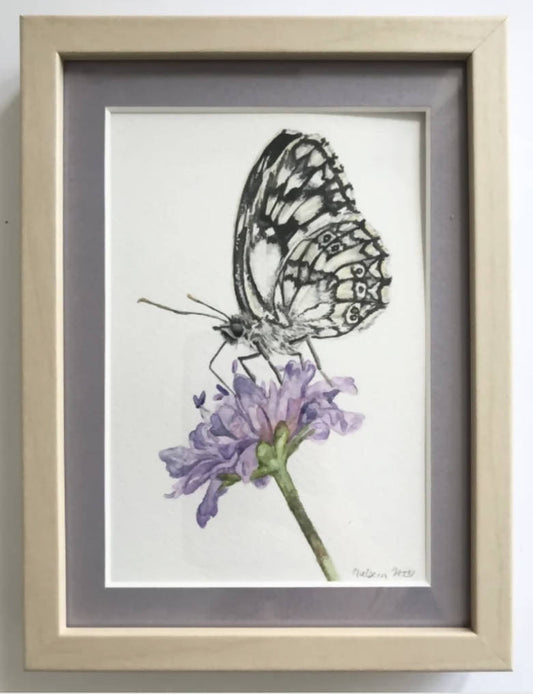 Marbled White Butterfly on Flower Watercolor Painting