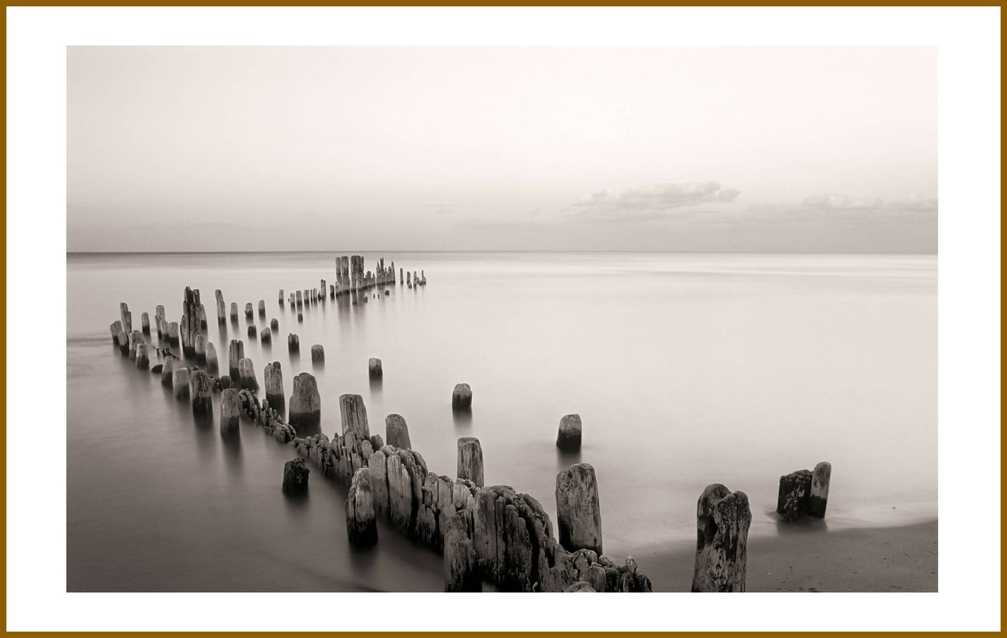 Old Pier, Lighthouse Beach - Framed Print