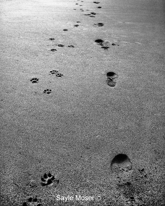 Footprints in the Sand Fine Art Photograph