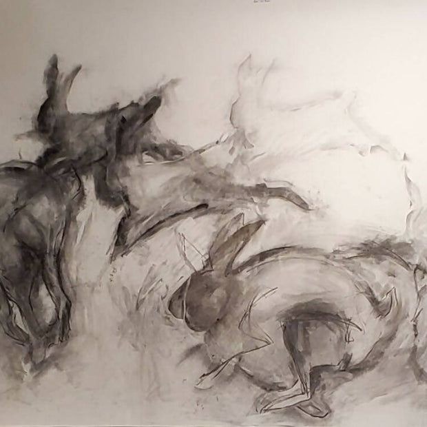 Drawing