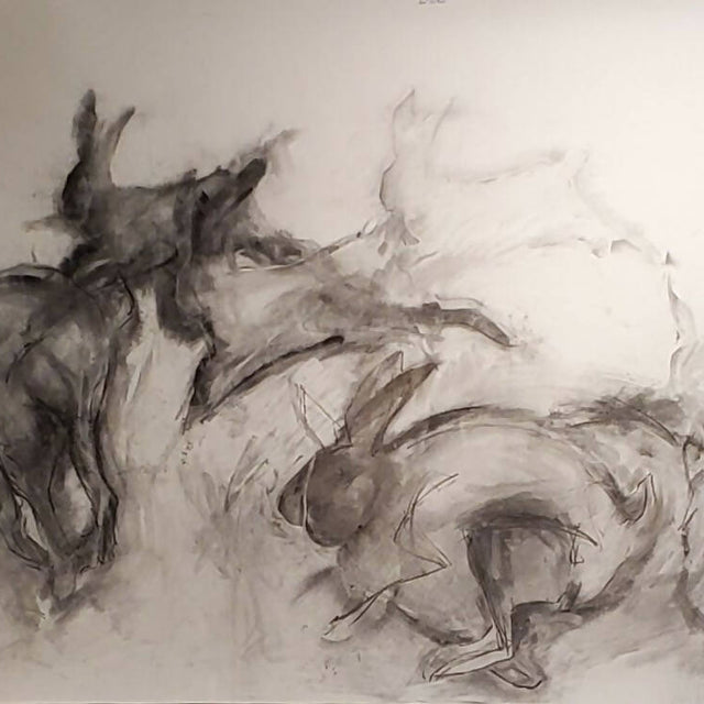 Drawing
