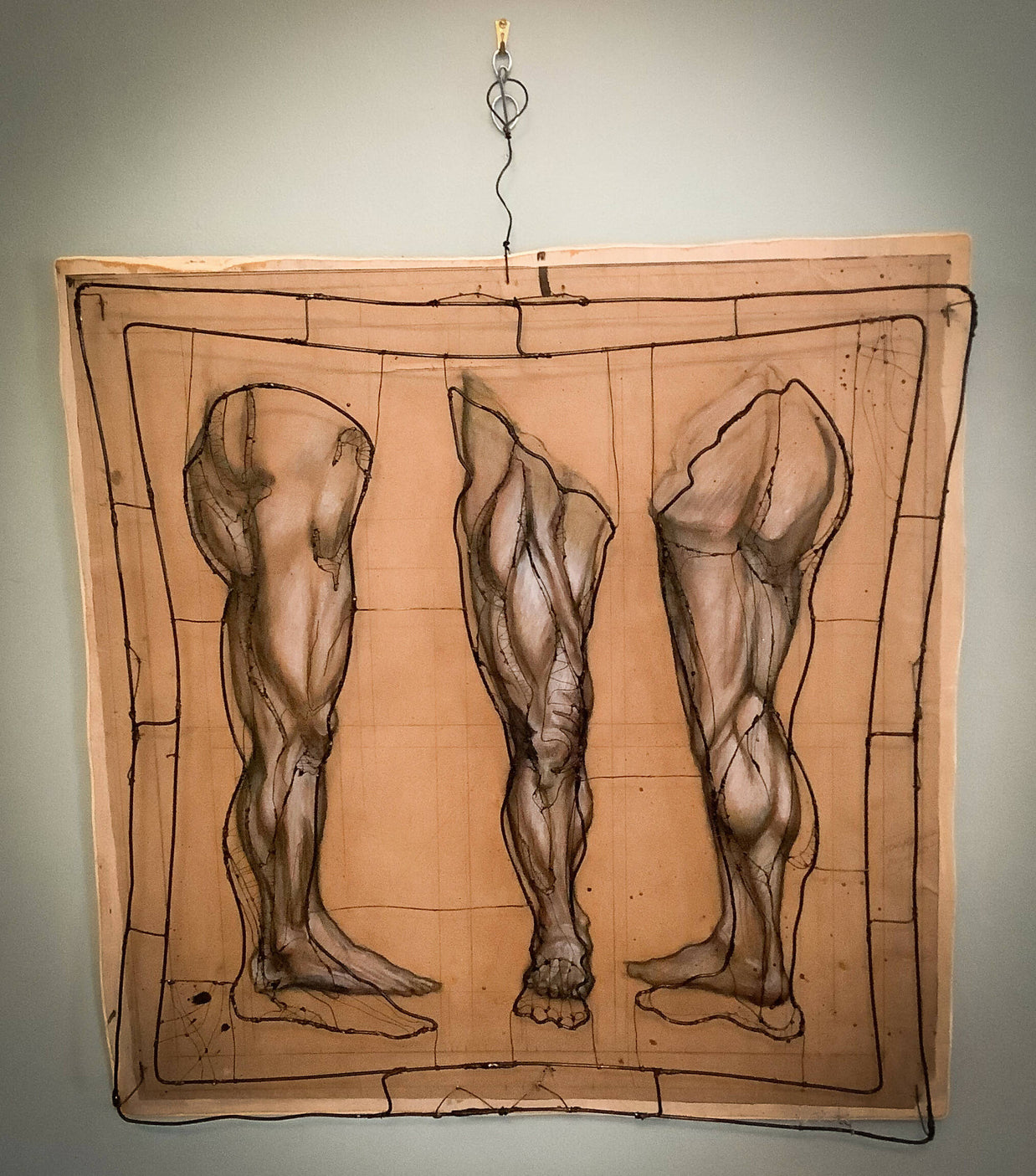 Leg Anatomy