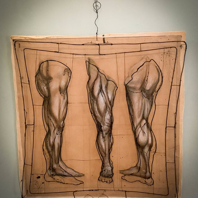Leg Anatomy