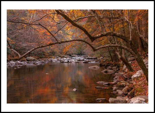 Fall, Little River, Great Smoky Mountains National Park