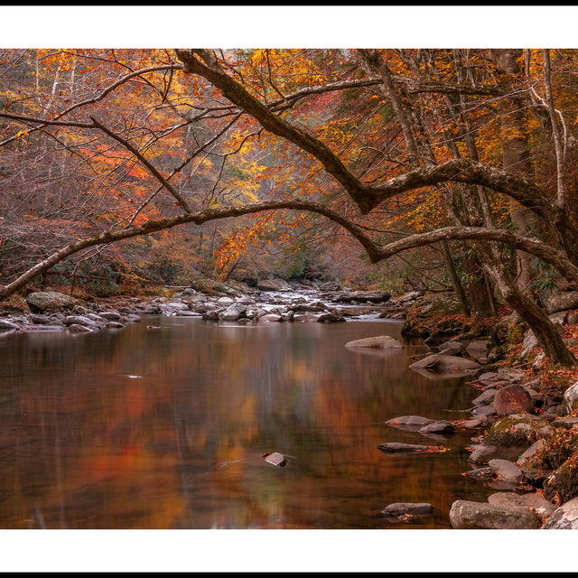 Fall, Little River, Great Smoky Mountains National Park