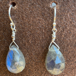 Drops of Goodness Earrings in Sterling Silver DOGERS
