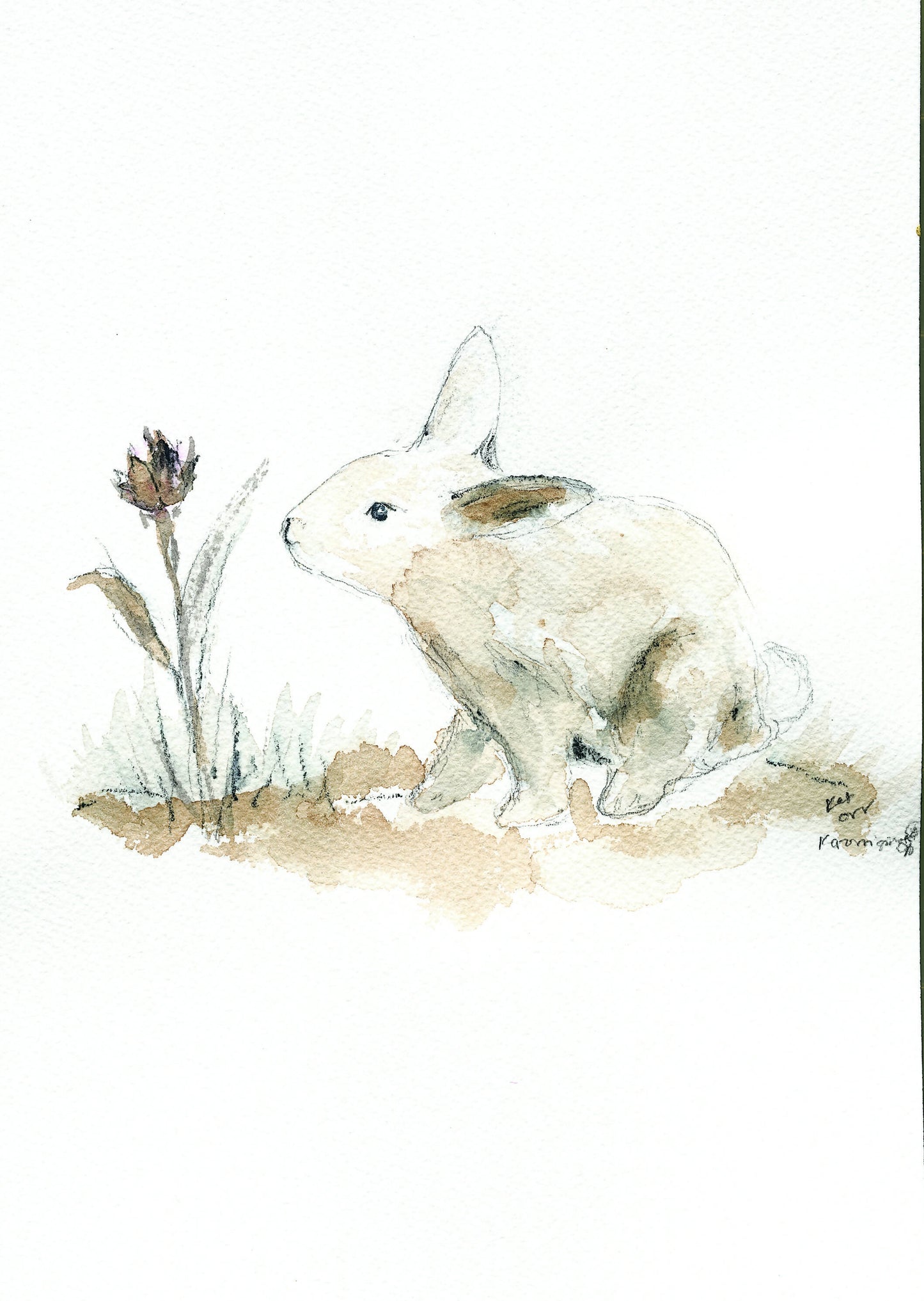 "Breakfast Bunny" by Katherine Orr