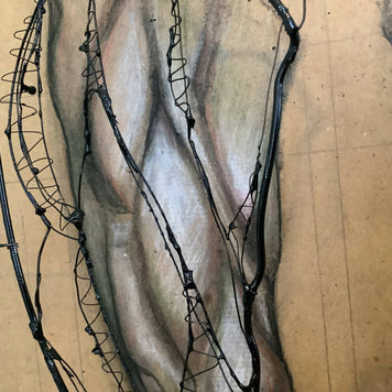 Leg Anatomy