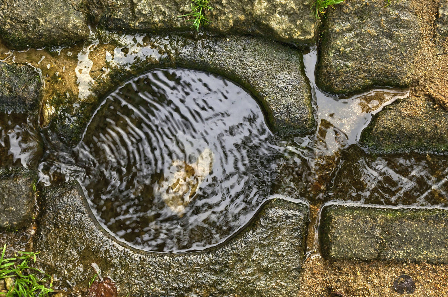 Holy Water, Czech Republic