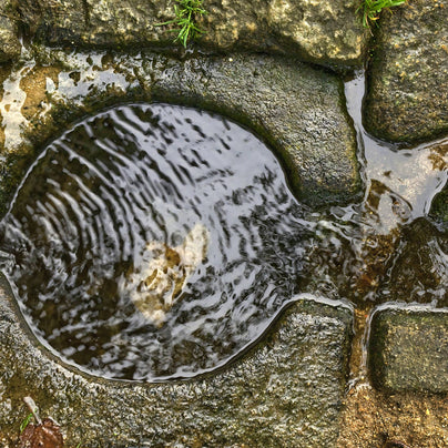 Holy Water, Czech Republic
