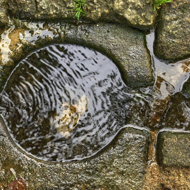 Holy Water, Czech Republic