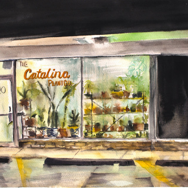 Catalina Plant Co.