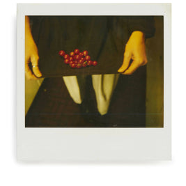Cherry Harvest