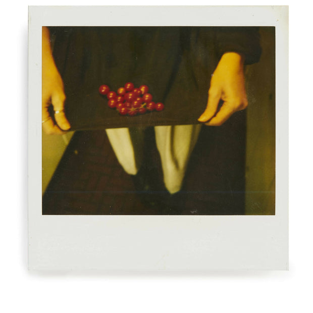 Cherry Harvest